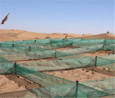 铁轨多周期固沙板 组装式土工格HDPE沙障板 沙漠治理方格治沙板 塑华