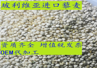 藜麦销售批发-玻利维亚一手货源-进口白藜麦