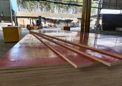 金星恒和木模板厂 高州房屋使用的桉木整芯建筑模板
