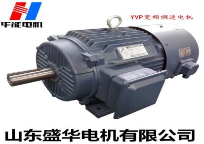 山东盛华电机厂家直供YEVP变频调速电动机30KW 4极调速电机