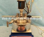 微型机械搅拌高压反应釜/微型高压反应釜