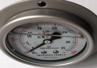 不锈钢压力表-316L不锈钢耐震压力表无锡厂家