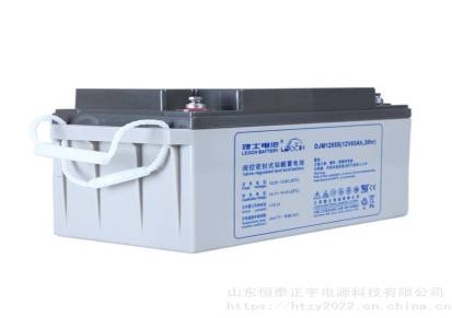 LEOCH蓄电池DJM12100理士蓄电池12V100AH直流屏机房应急电源配套