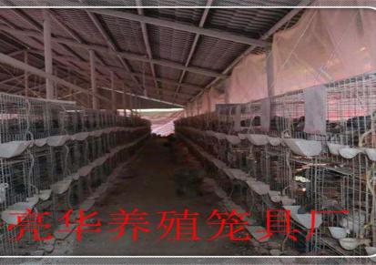 亮华鸽子笼厂家批发后网-底网加密12位广西南宁鸽笼