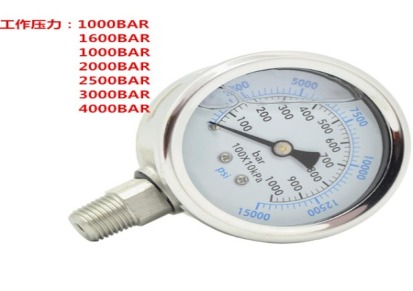 超高压不锈钢防震耐压压力表300MPA，3000BAR公斤，轴向径向