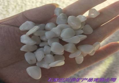 川沙厂家供应白色鹅卵石园林绿化白色小石头白色砾石洗米石