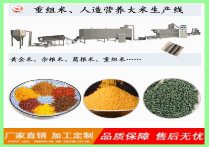 大彤机械 营养米生产设备 黄金米生产线设备 全自动营养米生产线