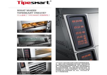 帝培斯麦Ti-102E一层二盘＋地柜商用+电烤箱