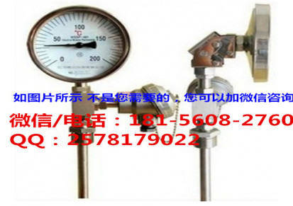 漳州wssxp-401远传双金属温度计化工厂用