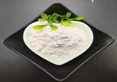 硅藻土净水过滤用吸附性强 除异味硅藻土颗粒