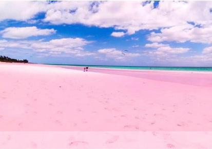 庆峰加工景区造景粉色彩砂 高温烧结染色彩砂 微景观沙滩造景砂不褪色
