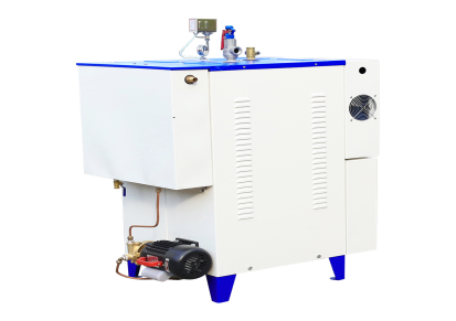 立浦热能 48kw节能电蒸汽发生器现货供应蒸汽清洗专用蒸汽发生器