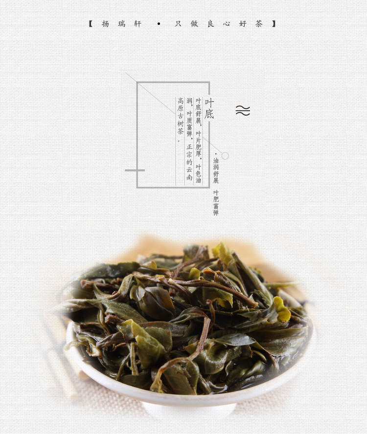 10南糯山古树茶-散茶---2-恢复的_08