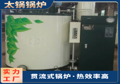 太锅 3吨立式贯流式燃气锅炉生产制造商 低碳环保