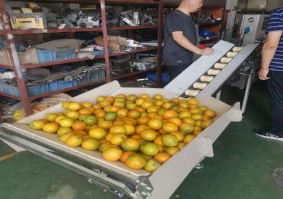 新科力全自动脐橙套袋机 橙子包装机 水果保鲜打包机