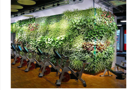 垂直绿化装饰 外墙立体绿化 墙面壁挂花卉景观施工设计 圣恩园艺