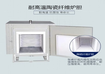 杭州蓝途仪器有限公司台车炉DYL-150 煅药淬火退火炉