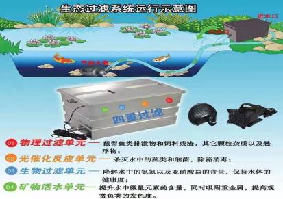 水通环保锦鲤池水处理设备ST-SH-22000厂家直销 品质无忧 款式齐全