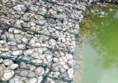天朗 厂家供应 生态绿格网 镀锌石笼网 包塑格宾网 雷诺护垫 重型六角网