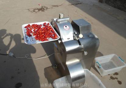 微冻草莓切丁机冷冻草莓加工设备切丁标准成型率高台恩机械