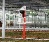 气象环境实景监控系统|农业气象环境监控设备