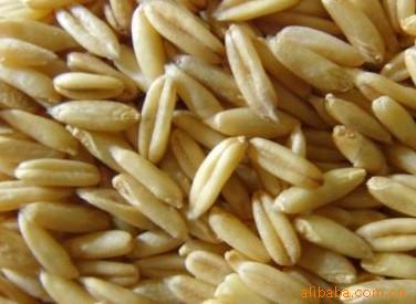 河北张家口供应优质 燕麦片热销全国