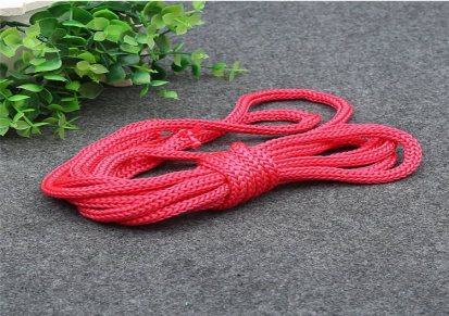 龙航 足球门绳网结实耐用 纸袋绳网现货 绳网出售
