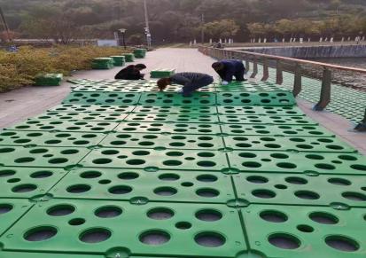 振欣环保HDPE材质500mm规格生态浮岛 浮动湿地 人工浮床