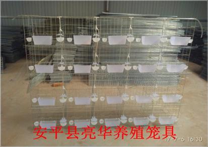 亮华鸽笼厂家销售3层12位鸽子笼 立式鸽笼 定做云南鸽子笼