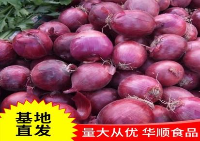 紫红皮洋葱黄葱头 可按需定制 蔬菜厂家 华顺食品