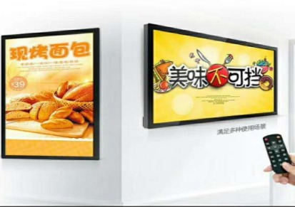 深圳国峰直销 55寸高清液晶广告机 网络版落地式广告机