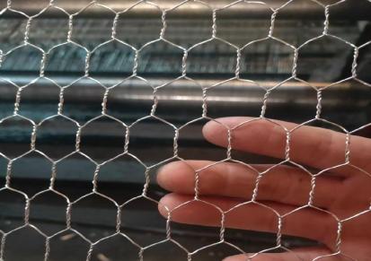 金之栏小六角拧花网养殖围网种植防护网生产厂家