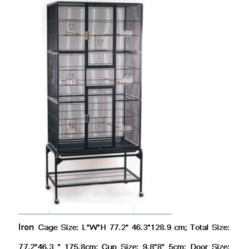 iron cage1