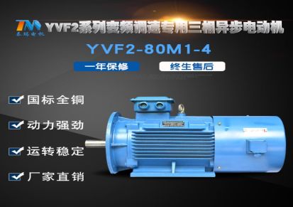 泰玛 YVF2-80M1-4级0.55KW三相异步电动机 立卧式变频调速电机供应