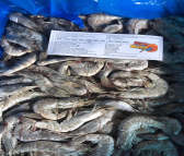 泰国口碑好的冷冻虾进口报关行 冷冻海鲜进口报关 进来选择你要的