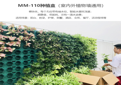 佛山全新植物墙容器价格 桥柱绿化