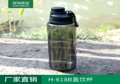 厂家直销 H-618B塑料运动水壶 户外运动水杯 直饮杯 不含BPA