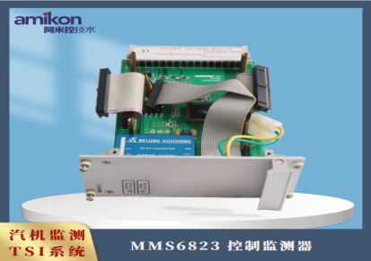 EPRO/EMERSON艾默生 A6560 处理器模块 具有瞬时存储的可能性