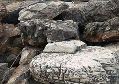 龟纹石直销价格 思源石业 景观龟纹石批发 生态驳岸工程厂家