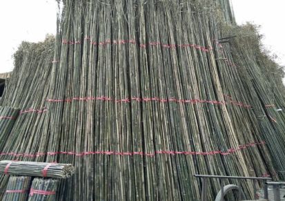 大量批发农用竹梢竹竿 菜架竹 5年毛竹等竹制品