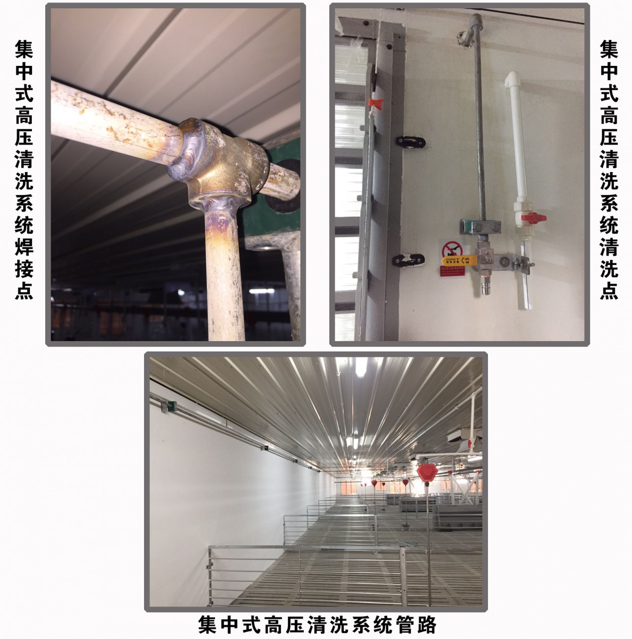 青岛美联为南宁宾阳益豚安装二期集中式高压清洗系统