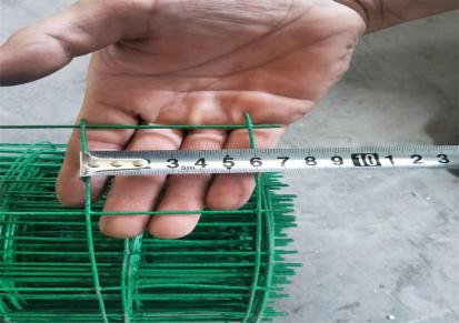 浸塑铁丝网围栏 防锈养殖荷兰网 墨绿色硬塑养殖围网 鱼塘隔离网 小区护栏网