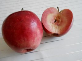 红苹果2
