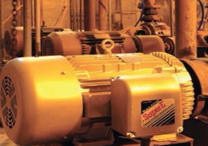 美国保德电机 保德 泵用电机 耐用的保德泵用电机