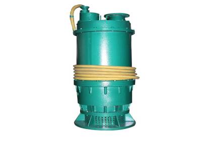 宏煤BQS50-30-75/N矿用隔爆型潜水排沙电泵防爆污水潜水泵