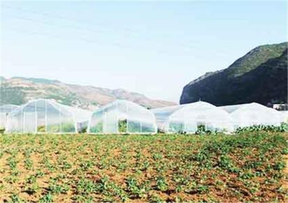 花卉玻璃温室 智能连栋玻璃蔬菜温室大棚 光照均匀 适宜作物生长