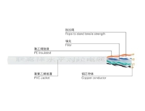 上海联嘉祥电线线缆六类局部区域网络电缆网线 国标0.58 足米