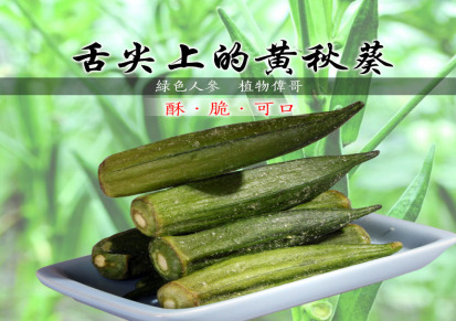 台湾原装进口食品 台竹乡黄秋葵脆片70g 营养美味蔬菜小零食