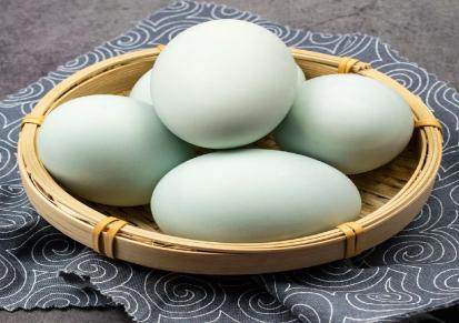 强业蛋品广东本地无抗鲜鸭蛋自有养殖场厂家直销新鲜安全