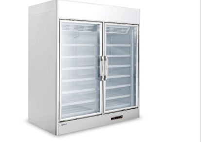 斯科曼 商用冷藏柜 商用立式双门冷藏柜 高端冷柜定制 广东冷柜定制